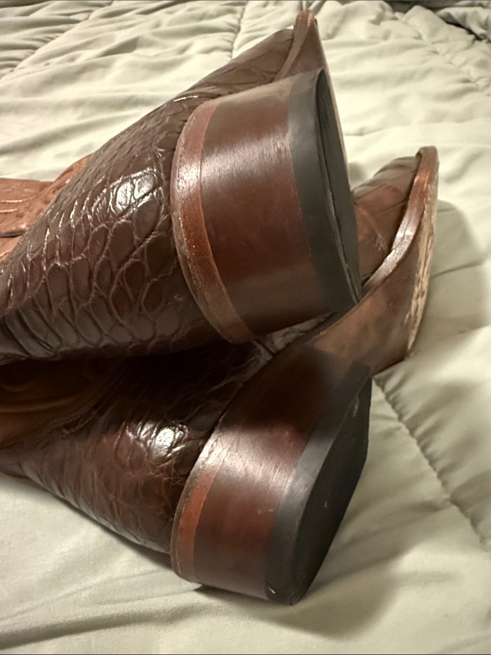 Roper Alligator Boots - Picture 4 of 7